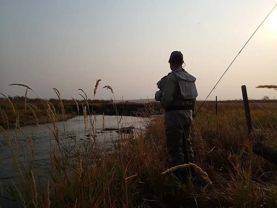 Pescador à mosca de pé na margem de um rio, ao amanhecer, com a cana erguida