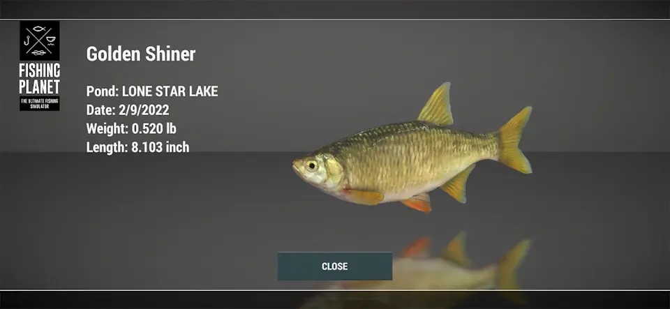 Fishing Planet: ficha de captura com lago, data, peso e comprimento do peixe